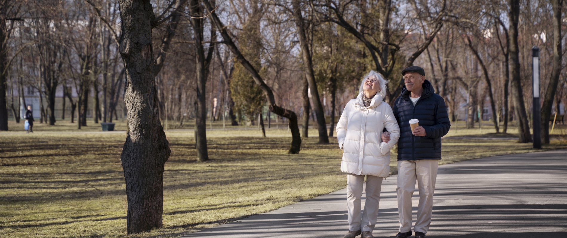 Full Shot Senior People Walking Park